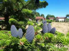 Отель Päevatalu Camping  Vilusi